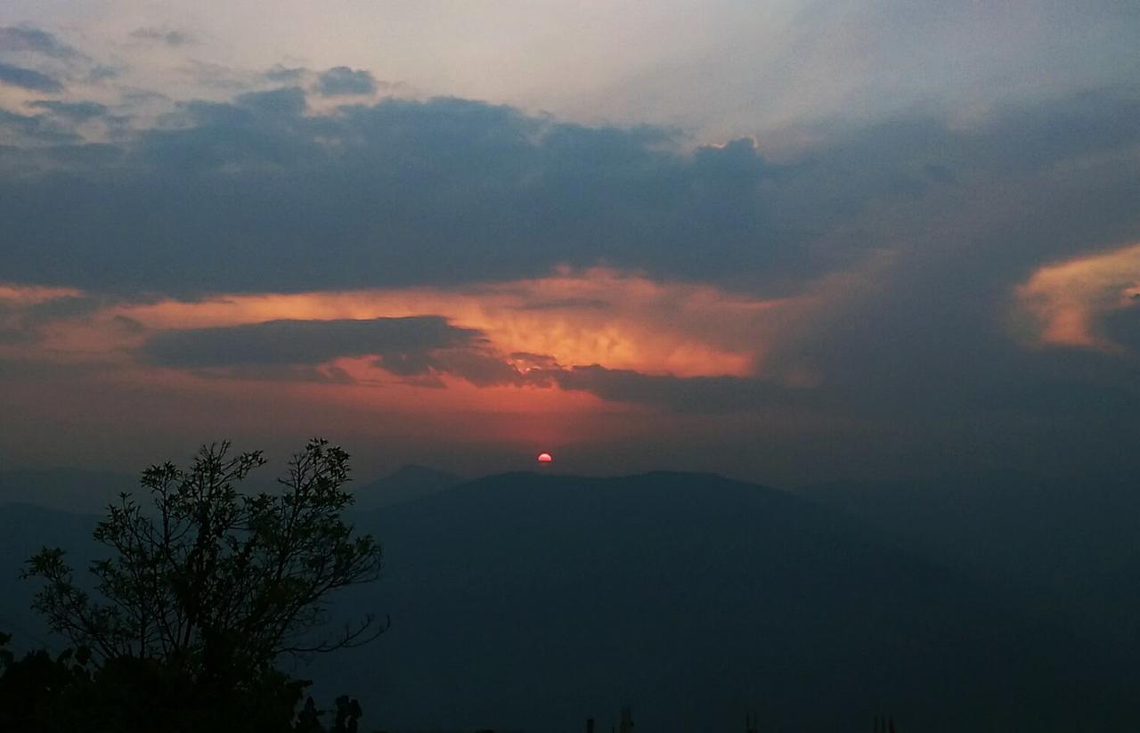 Family Homestay Kurseong Eksteriør billede